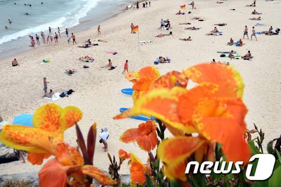 14일(현지시간) 호주 시드니의 한 해변에서 사람들이 더위를 식히고 있다.  © AFP=뉴스1