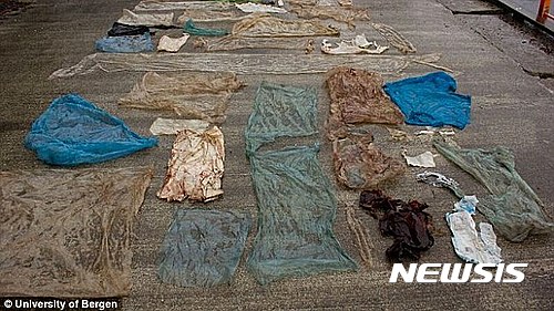【서울=뉴시스】노르웨이 해역에서 발견된 고래 사체에서 비닐봉지 30여개가 발견됐다. 사진은 이 비닐봉지를 펼쳐놓은 모습. (사진출처: 데일리메일) 2017.02.03.