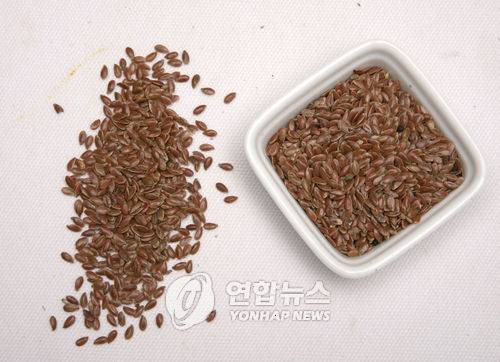 아마씨 [연합뉴스 자료사진]