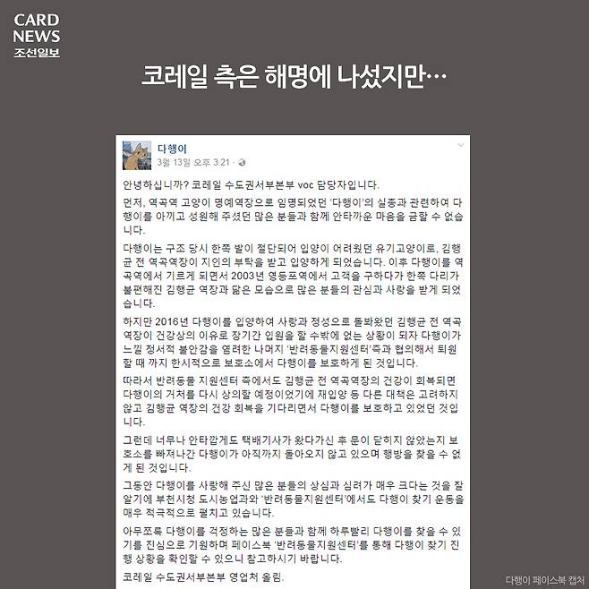  행방불명된 다행이를 찾습니다 | 인스티즈