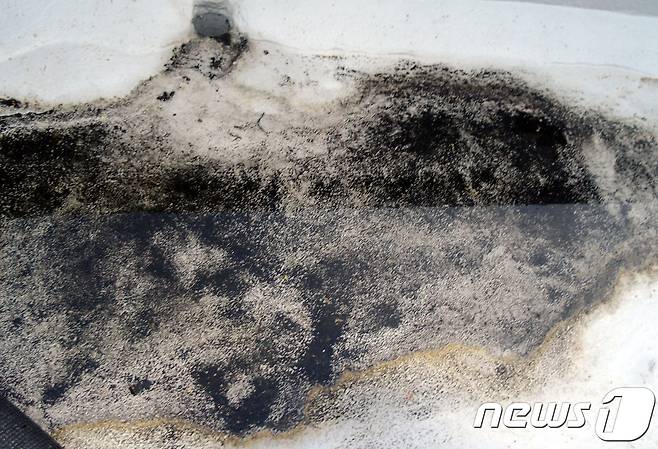 보령화력 인근 주택 옥상에 엉겨붙은 검은 먼지© News1