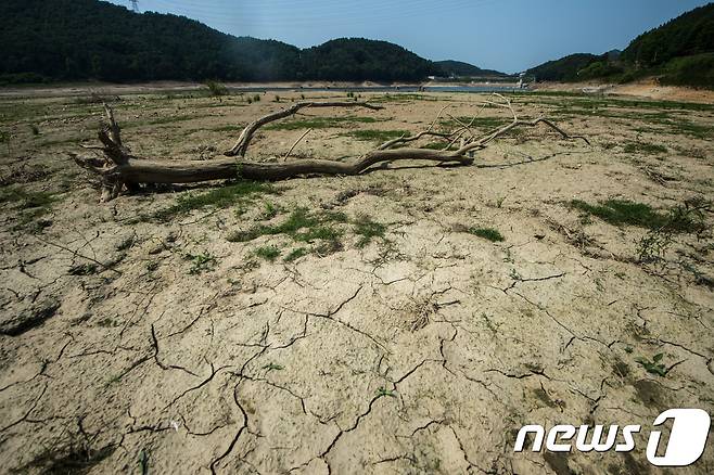 바닥 드러낸 안성 마둔저수지. 뉴스1 자료사진. © News1