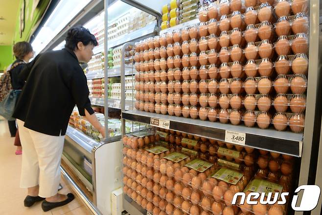 19일 오후 서울의 한 대형마트를 찾은 시민이 계란을 구매하고 있다.. 2017.6.19/뉴스1 © News1 박세연 기자