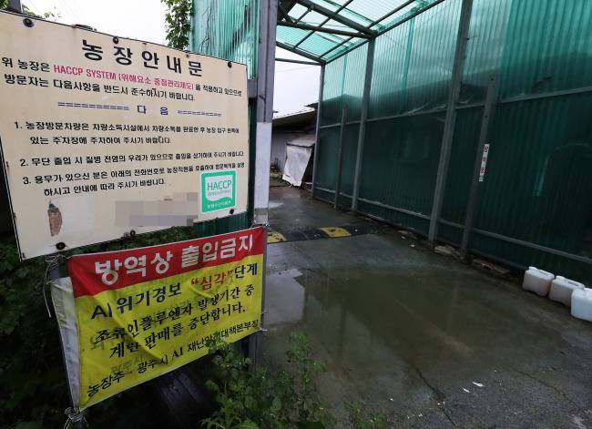 농림축산식품부는 국내 친환경 산란계 농장을 대상으로 일제 잔류농약 검사를 하던 중 지난 14일 경기도 남양주시 소재의 한 산란계 농장에서 ‘피프로닐’ 살충제가 검출되고 경기도 광주시의 또 다른 산란계 농장에서는 ‘비펜트린’이라는 성분이 닭 진드기에서 기준치를 초과해 검출됐다고 밝혔다. 사진은 15일 ‘비펜트린’이라는 농약 성분이 닭 진드기에서 기준치를 초과해 검출된 경기도 광주시의 한 농장 모습. ［사진제공=연합뉴스］