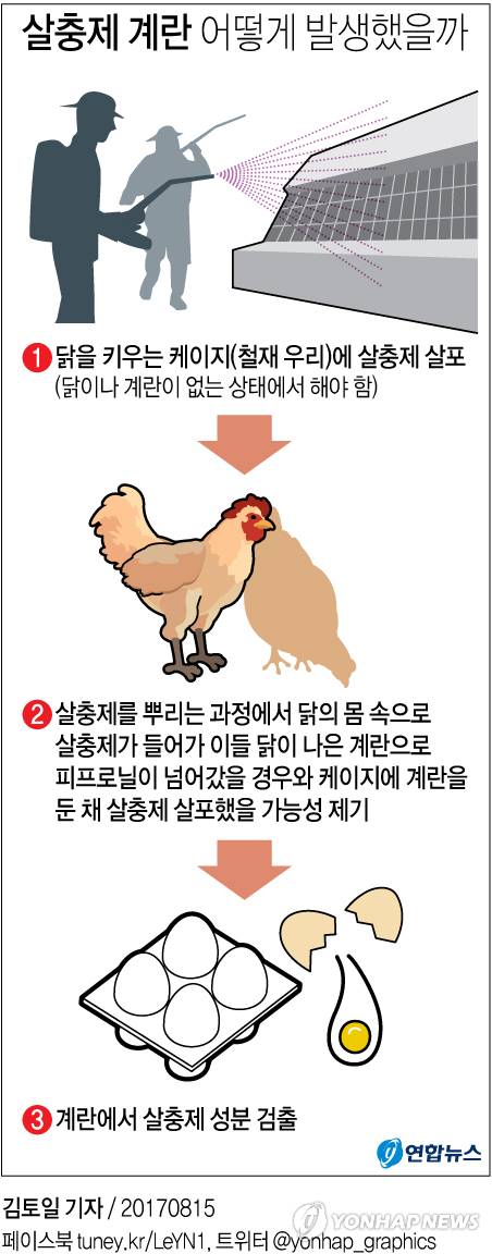 (서울=연합뉴스) 김토일 기자 = 유럽에 이어 국내에서도 계란에서 살충제 성분인 '피프로닐'이 검출돼 충격을 주고 있다.       15일 관련 부처에 따르면 현재 정부의 조사가 진행 중이어서 정확한 발생 원인은 드러나지 않았지만, 산란계 농가가 닭을 키우는 케이지(철재 우리)에 살충제를 뿌리는 과정에서 닭의 몸속으로 살충제가 들어갔을 가능성이 제기되고 있다.      kmtoil@yna.co.kr      페이스북 tuney.kr/LeYN1 트위터 @yonhap_graphics