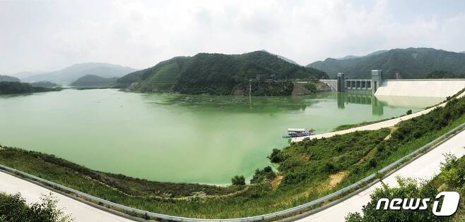 지난 22일 짙은 녹조로 뒤덮힌 영주댐의 모습(대구환경운동연합 제공)© News1