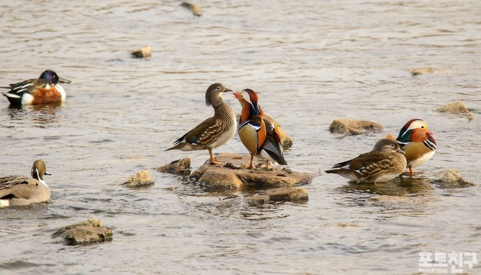 [포토친구] 우리 키스할 거야