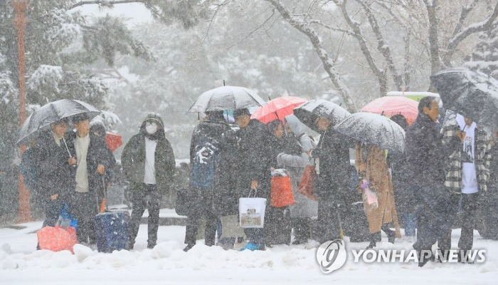 폭설 내리는 제주