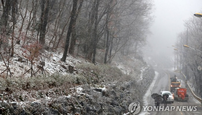 첫눈에 하얗게 변한 부산