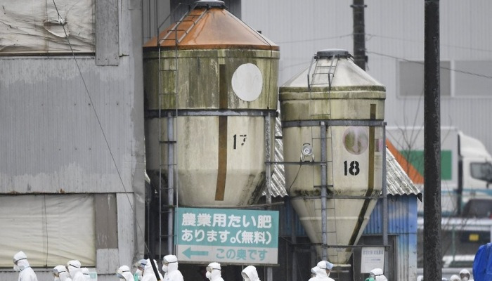 일본 돼지콜레라 비상..방역 작업하는 사람들