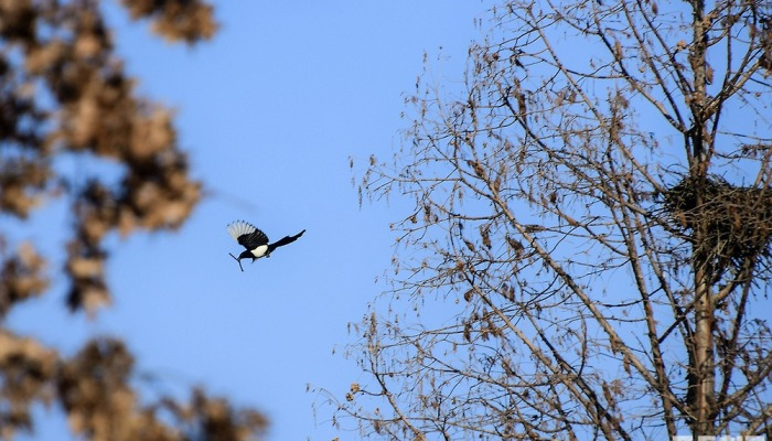 [포토친구] 새봄 집단장 중입니다