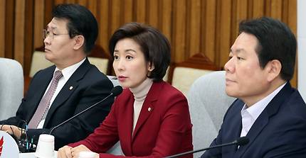 나경원 자유한국당 원내대표가 21일 서울 여의도 국회에서 열린 원내대책회의에서 모두발언을 하고 있다/사진=뉴스1