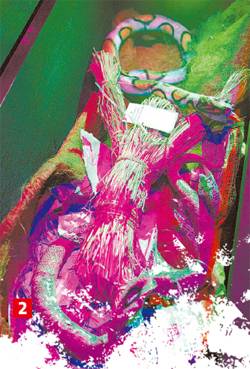 뱀과 벌레들이 가득한 관에도 미션이 숨어있다.