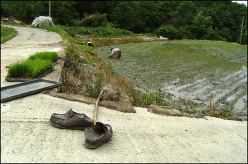 사람 냄새' 나는 산골마을로 떠나자