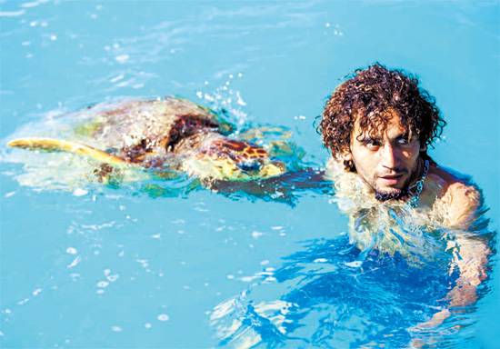 무인도 노캉위 섬 가는 길에 마주친 어린 바다거북