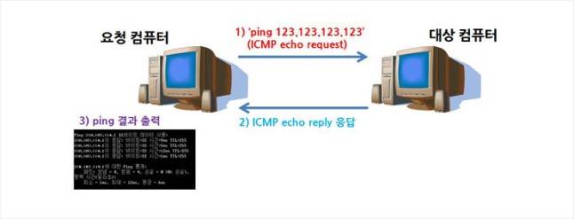 핑 명령어