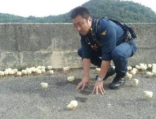 마동석, 탱크 같은 몸집으로 "병아리 무서워"… 그런데 "닭은 괜찮아"? 왜 (사진=온라인커뮤니티)