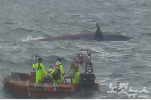 6일 오전 6시 25분쯤 전남 해남선적 9.77톤급 낚시어선 돌고래호가 전복된 채 발견됐다. 해경이 주변에서 수색작업을 벌이고 있다.