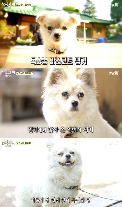 사진: tvN '삼시세끼 정선편'