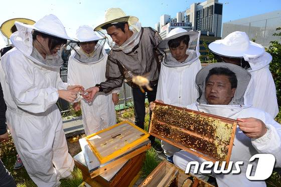 2015년 9월 유네스코한국위원회 주최로 열린 도시 양봉 체험행사에서 민동석 유네스코한국위원회 사무총장(오른쪽)과 박진 어반비즈서울 대표(가운데)가 시민들과 함께 벌꿀을 수확하고 있다. © News1 박세연 기자