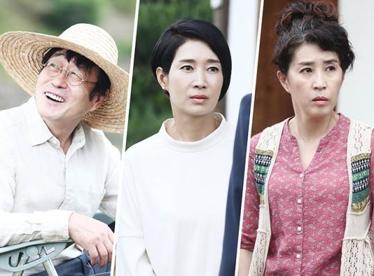 김창완, 나영희, 김미경