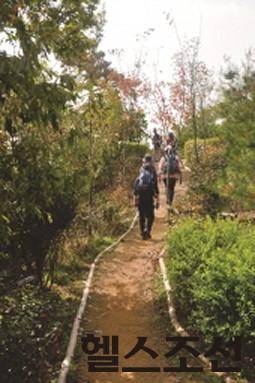 [헬스조선]언덕을 오르는 등산객들