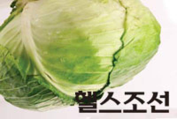 [헬스조선]양배추