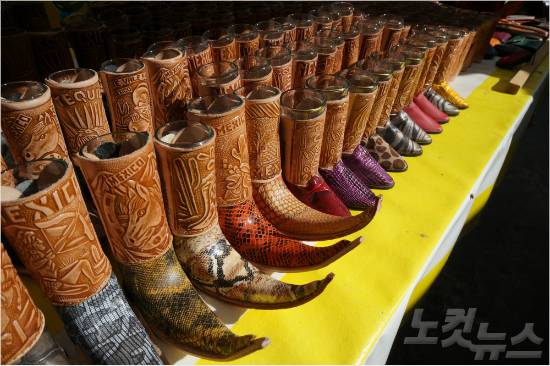 (사진=오지투어 제공)