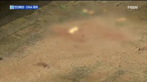 도넘은 캣맘 혐오증