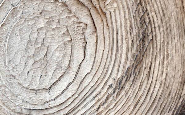 스키아파렐리 크레이터 안에는 이처럼 작은 크레이터가 형성돼 있다. 과학자들에게도 그 원인은 아직까지 수수께끼다. 사진=나사