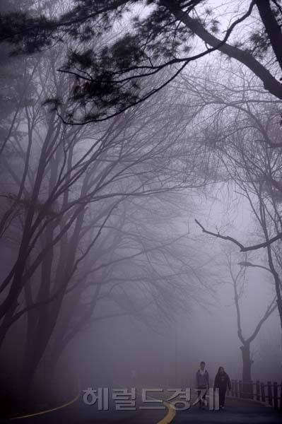 새벽 안개 이미지. [사진=헤럴드경제DB]