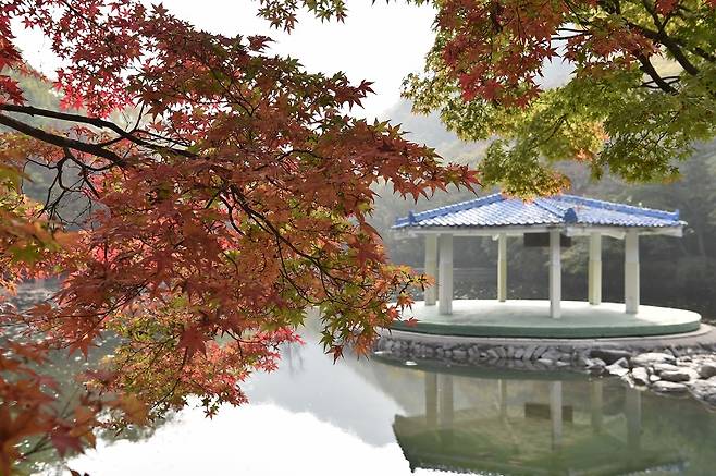 AF-S 24-70mm f/2.8E VR과 D4S로 촬영한 결과물