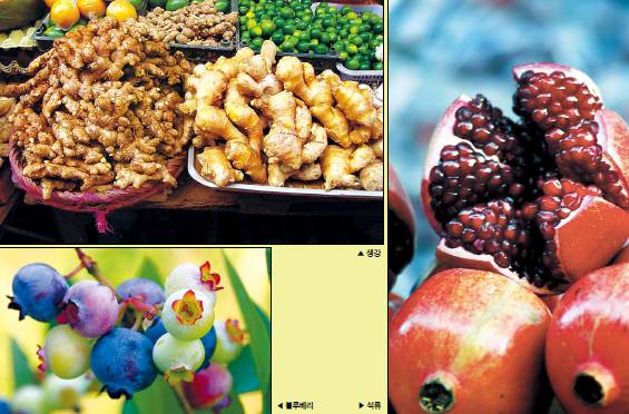 [사진=위키피디아]