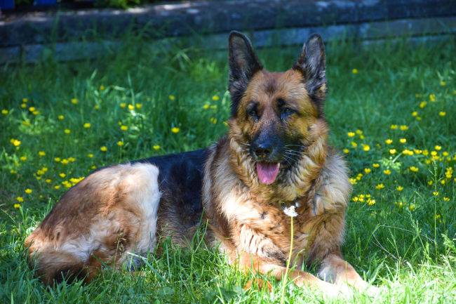 [사진출처=123RF]