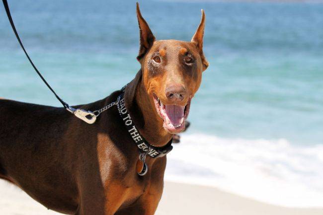 [사진출처=123RF]