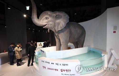 (부산=연합뉴스) 조정호 기자 = 부산 기장군 동부산관광단지에 자리잡은 국립부산과학관이 3일 언론에 공개됐다. 취재진이 부력의 원리를 알 수 있는 코끼리 조형물을 살펴보고 있다. 12월 개관을 앞두고 시범운영중인 부산과학관은 180개 과학전시물이 설치됐다. 전시물의 80%가 기초과학 원리와 첨단기술을 직접 느끼는 체험형으로 꾸며졌다. 1천217억원이 들어간 부산과학관은 동남권의 주력산업인 자동차, 항공우주, 선박, 에너지·방사선의학을 주제로 한 지역거점형 과학관이다. 2015.11.3     ccho@yna.co.kr