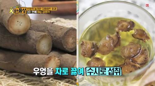 우엉차 다이어트