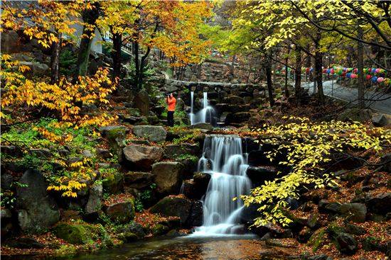팔공산 단풍은 막바지 화려함을 토해내고 있다. 팔공산 동화사 주변은 물론이고 인근의 폭포골도 붉고 노랗게 물들었다.