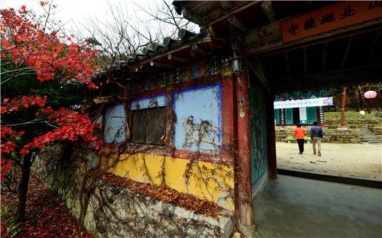 운치있는 북지장사의 담벼락, 세월의 넝쿨이 한가득 붙어있다.