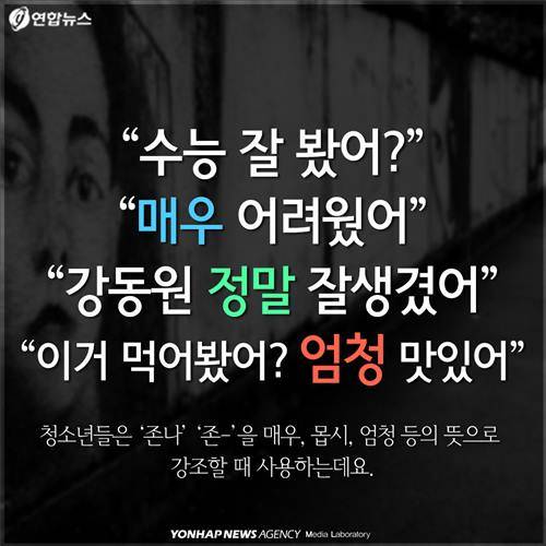 "수능 잘 봤어?" "매우 어려웠어" "강동원 정말 잘생겼어" "이거 먹어봤어? 엄청 맛있어"  청소년들은 '존나' '존?'을 매우, 몹시, 엄청 등의 뜻으로 강조할 때 사용하는데요.