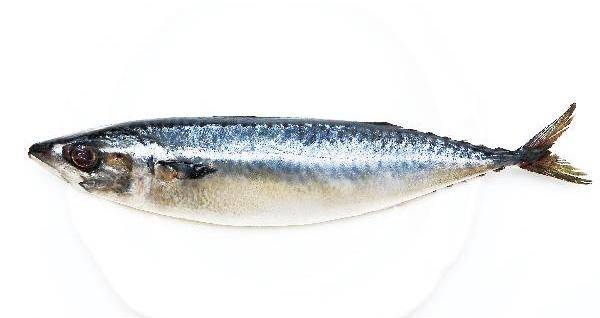[헬스조선]고등어 사진/사진=헬스조선 DB