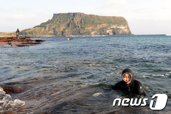물질하는 제주  해녀.2015.11.24/뉴스1 © News1 이석형 기자