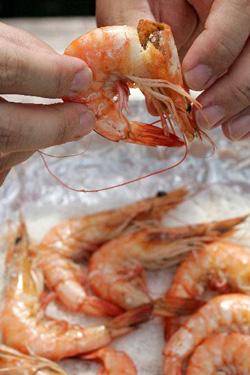 [헬스조선]대하구이/사진=조선일보 DB