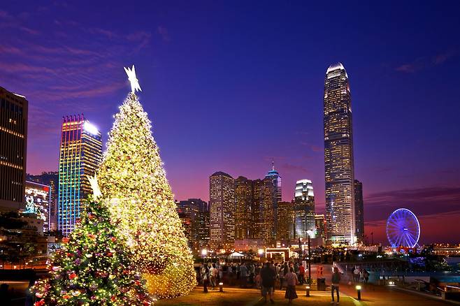 대형 트리로 연말 분위기가 물씬 풍기는 스태추광장.