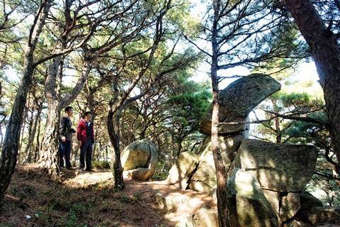 [월간산]정읍사오솔길 1코스에 두꺼비같이 생긴 바위가 눈길을 끈다.