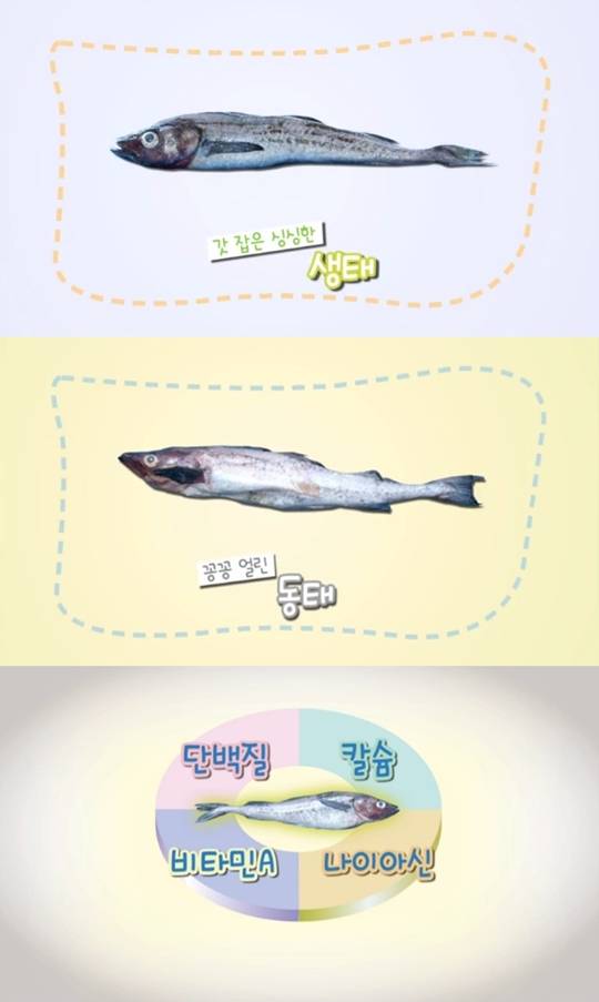 명태의 유래와 여러가지 이름, 동태 생태 북어 건태 황태...명태 새끼는?