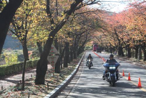 가을볕 속을 달리는 기분은 최고였습니다. 빨리 봄이 오길….