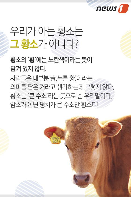 © News1