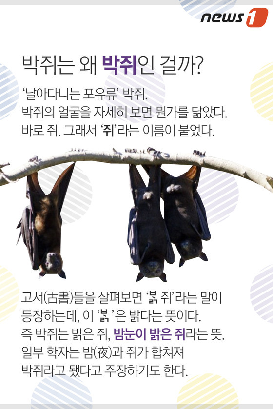 © News1