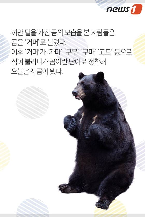 © News1